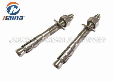 볼트 SS316 M12x120 과중한 업무 앵커를 통한 녹슬지 않는 철강 304 316 쐐기